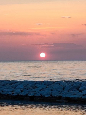 MonoPat Marina Di Pisa